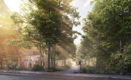 Dieren selects our design proposal of Imbospark